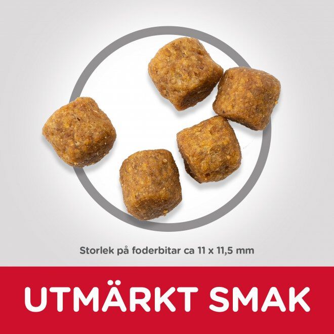Hill's Science Plan Dog Mature 7+ Lamb & Rice
