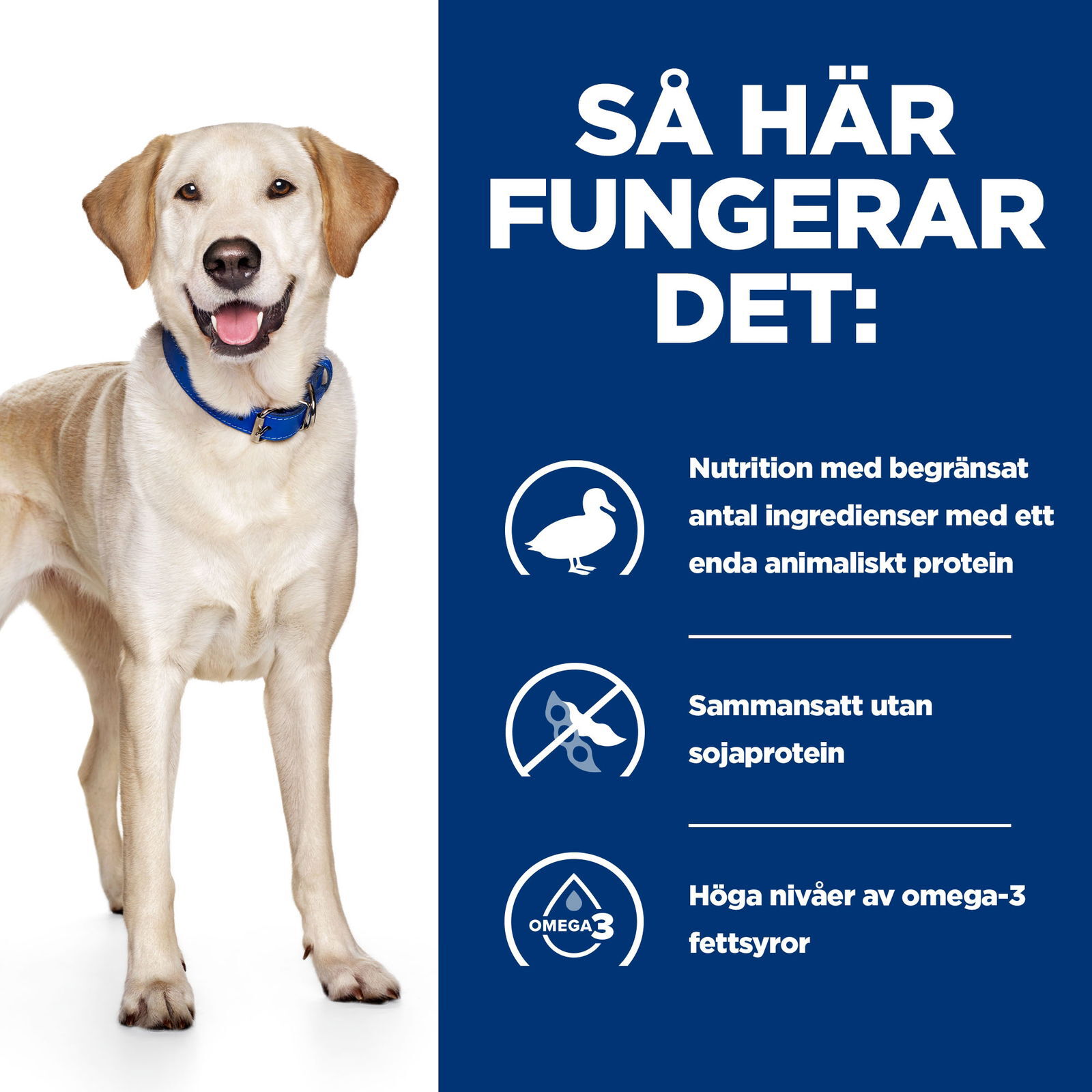 Hills Diet Dog d/d Duck & Rice