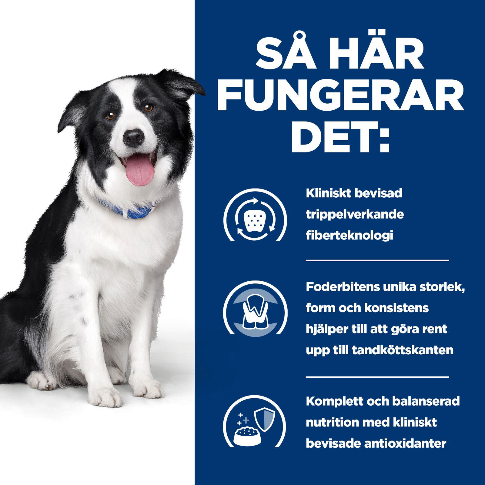 Hills Diet Dog t/d 10kg
