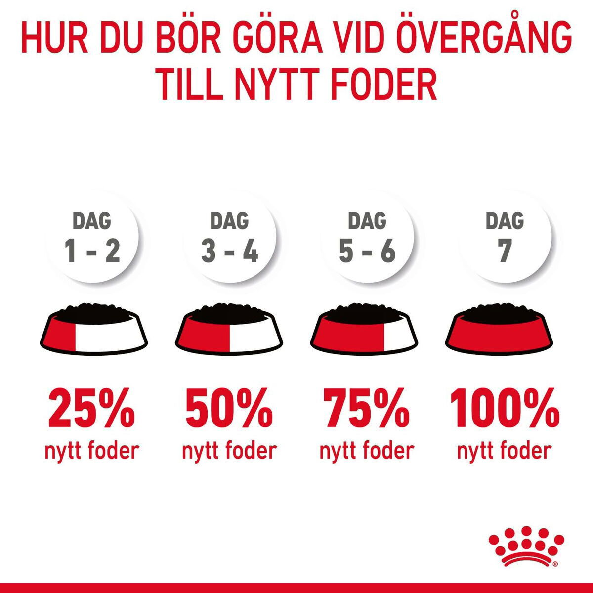 Royal Canin Hair & Skin Care Jelly Adult våtfoder för katt