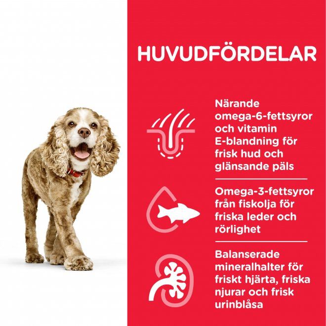 Hill's Science Plan Dog Senior Small & Mini