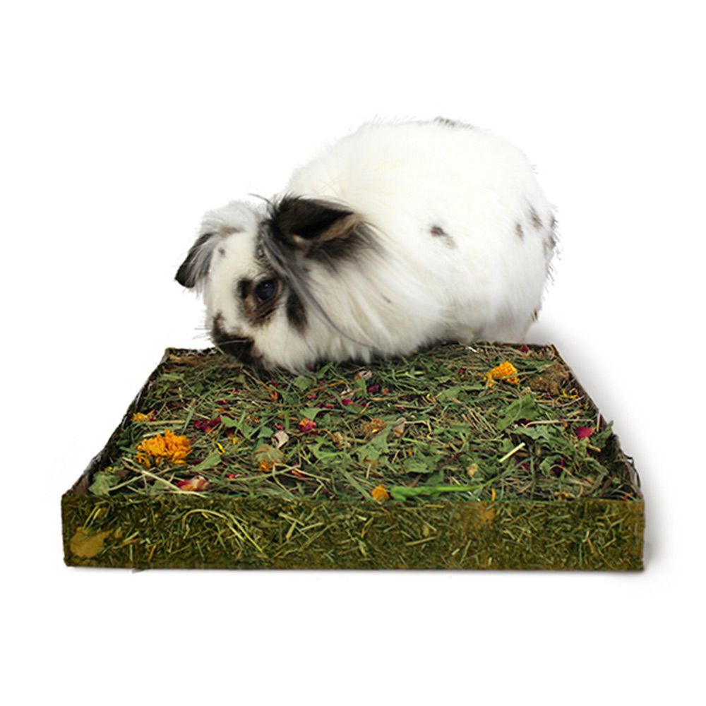 Rosewood Nibble'n'Dig Medow