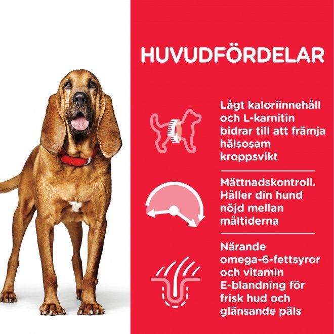 Hill's Science Plan Canine Mature Light Medium Chicken 