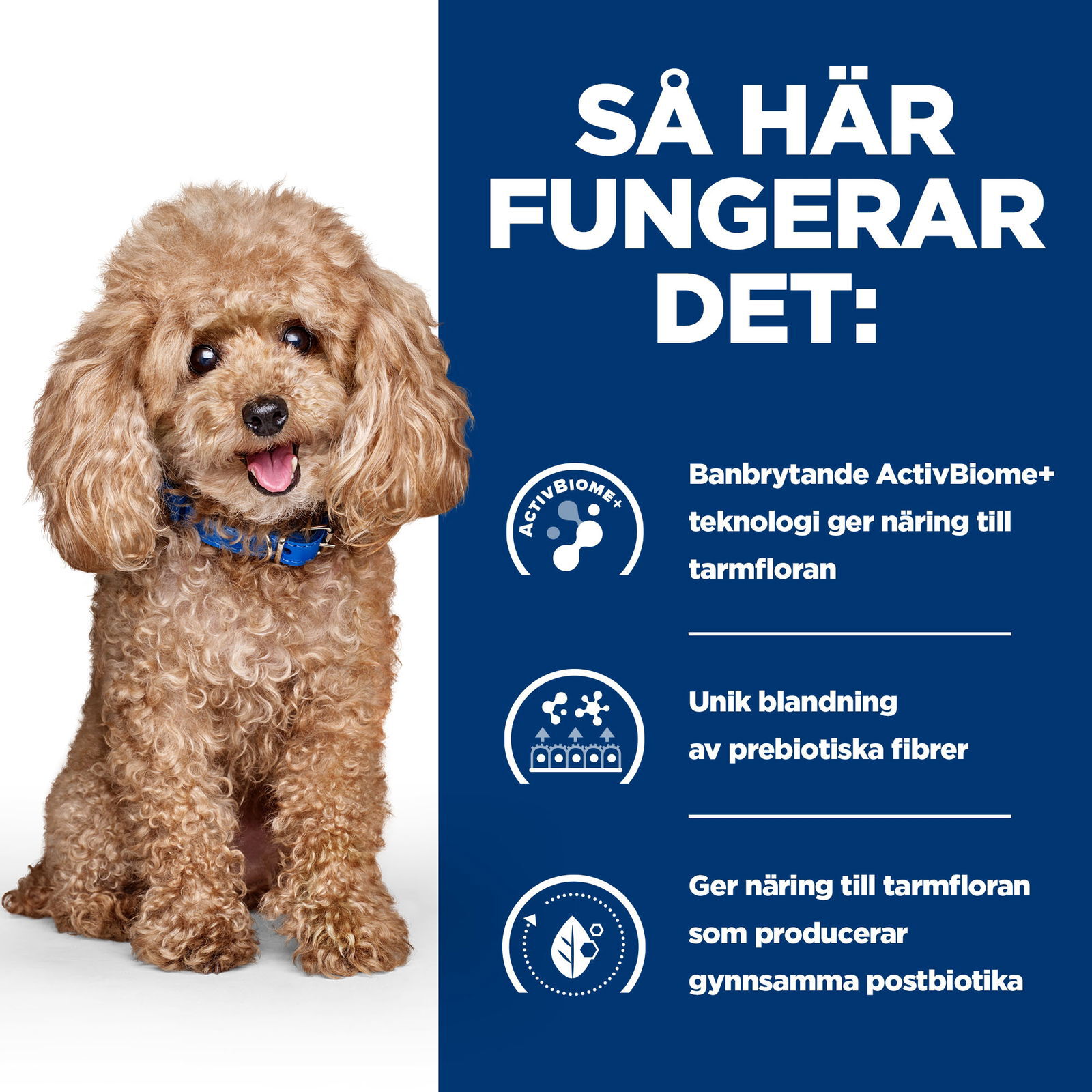 Hill's Prescription Diet Canine GI Biome Mini