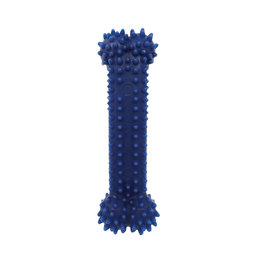 Nylabone Moderate Dental Chicken