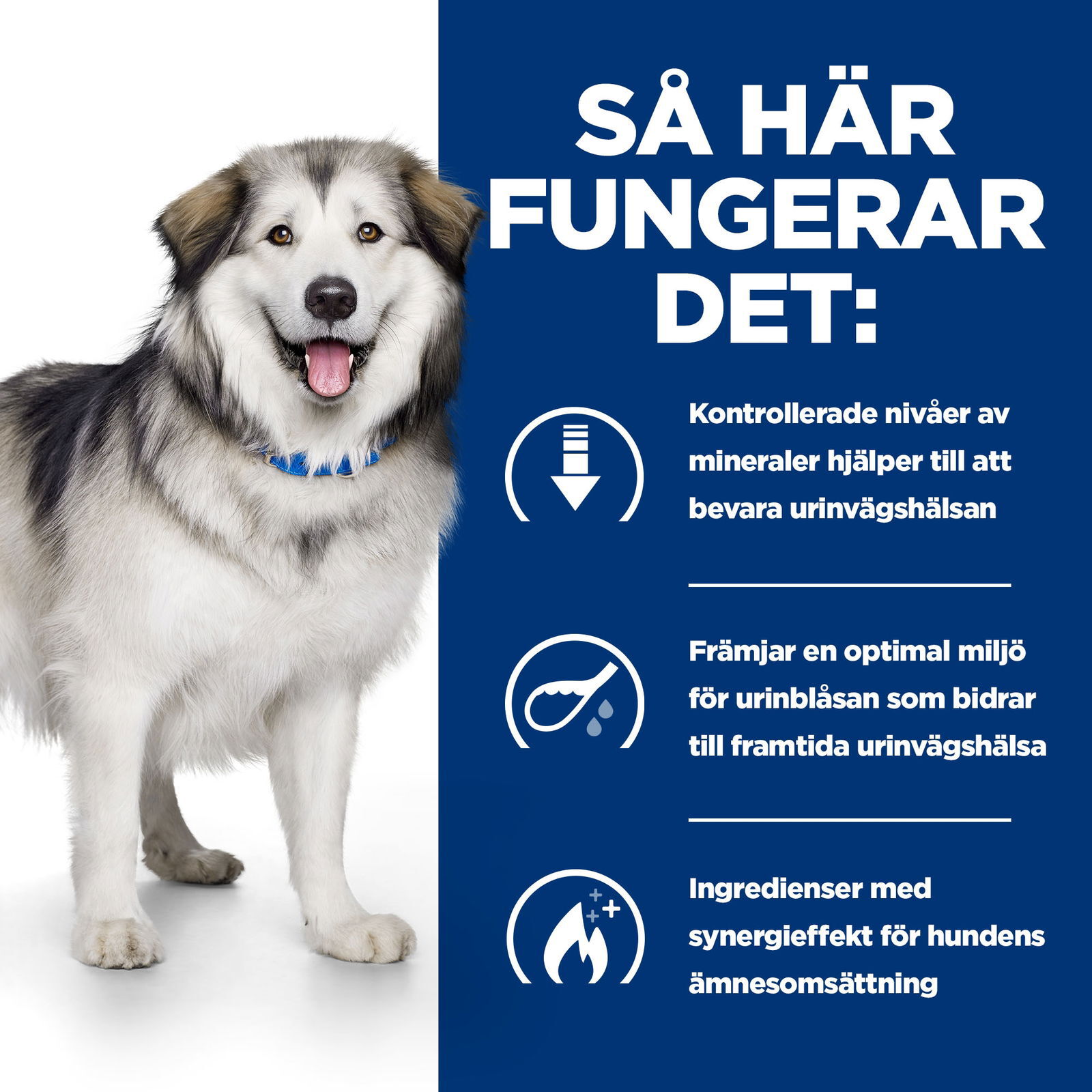 Hill's PRESCRIPTION DIET c/d Multicare + Metabolic Dog Food