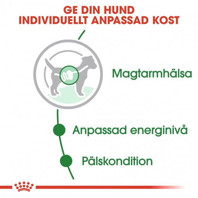 Royal Canin Mini Adult Gravy våtfoder för hund