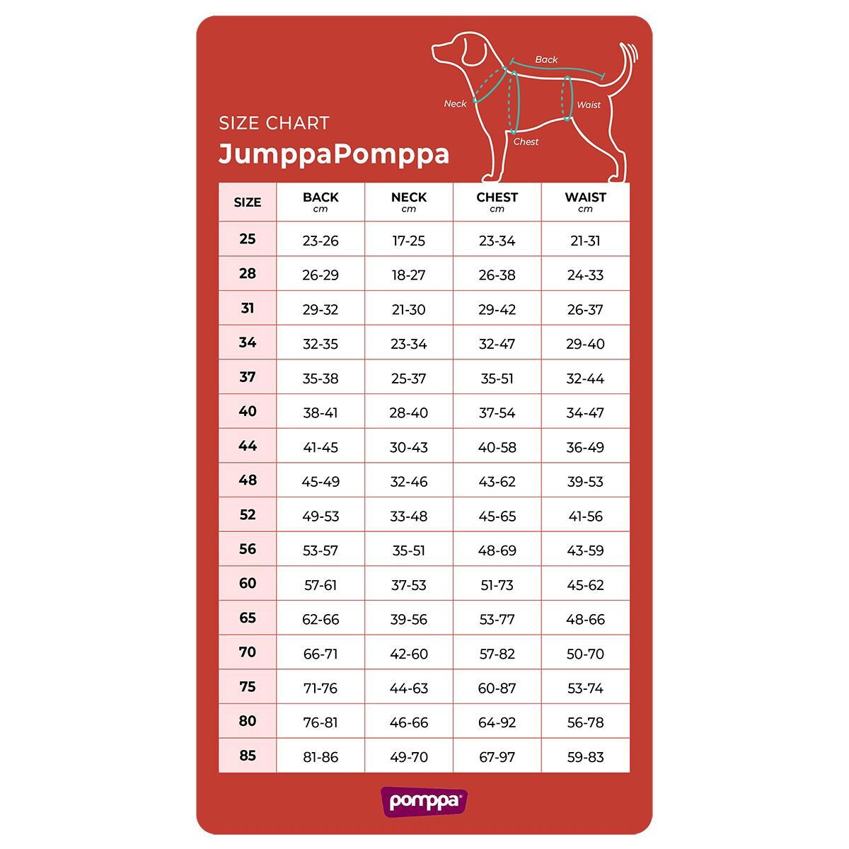 JumppaPomppa Midnight