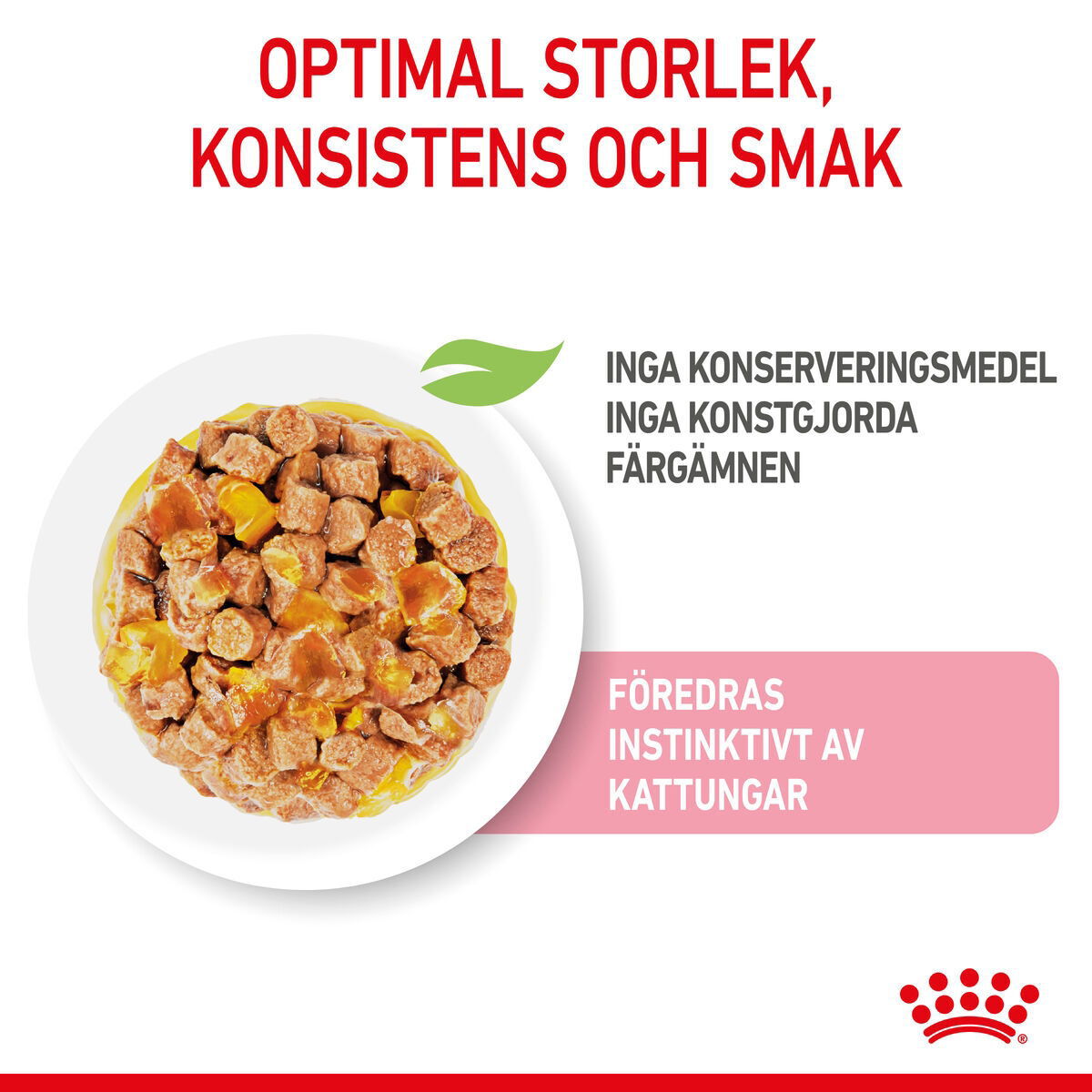 Royal Canin Kitten Jelly våtfoder för kattunge