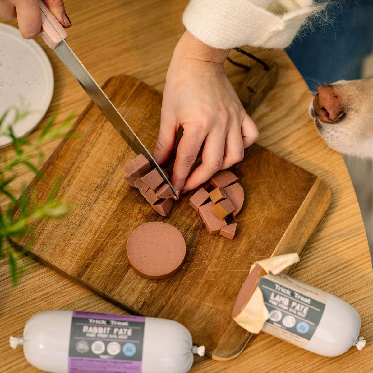 Trick&Treat Paté Sausage Horse
