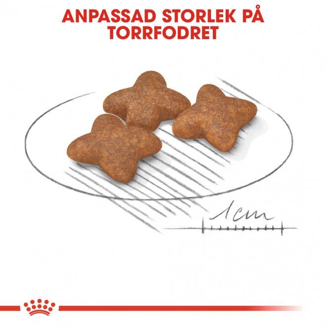 Royal Canin Mini Ageing 12+ torrfoder för hund