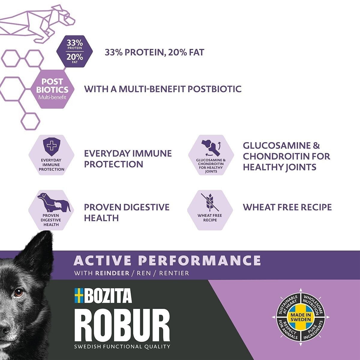 Robur Adult Performance Reindeer 12kg