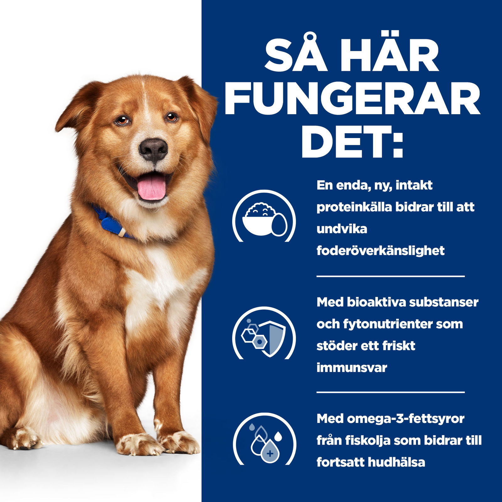 Hill's Diet Dog Derm Complete