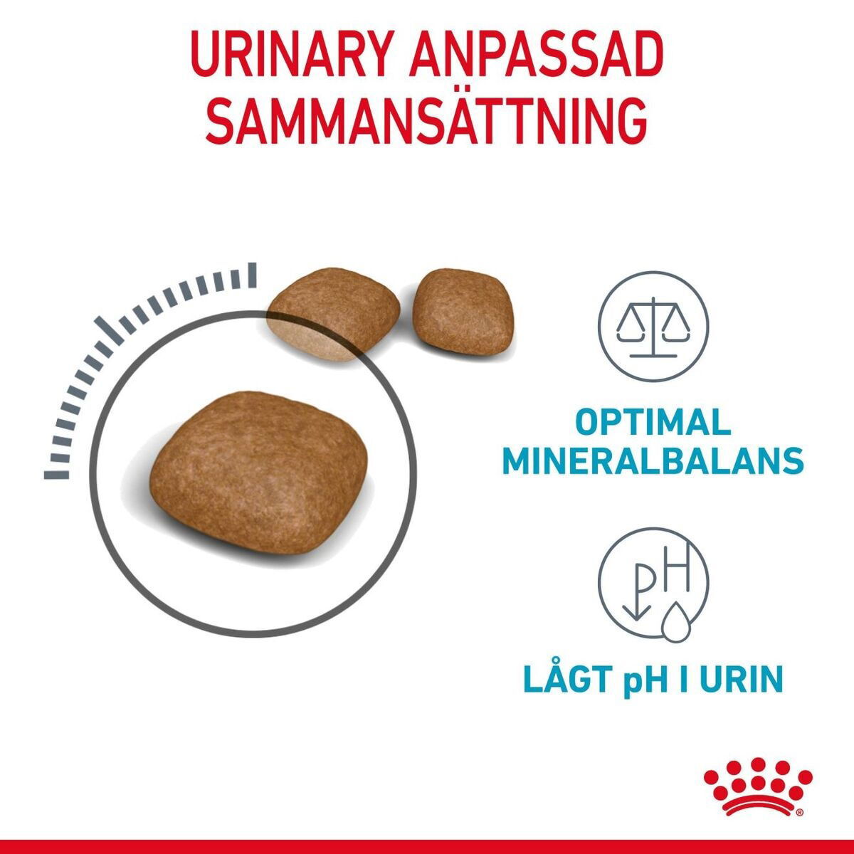 Royal Canin Urinary Care Adult torrfoder för katt