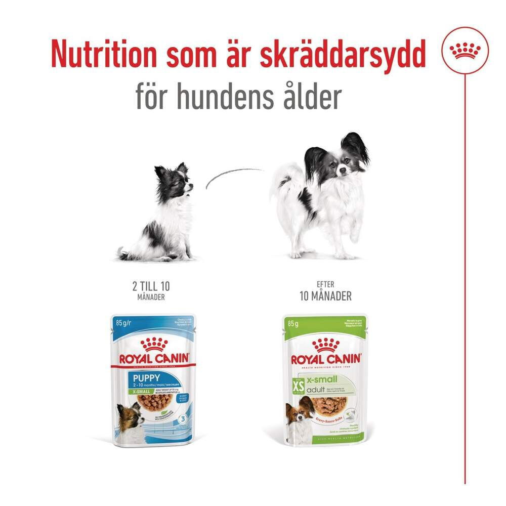Royal Canin X-small Adult pouch 12x85g