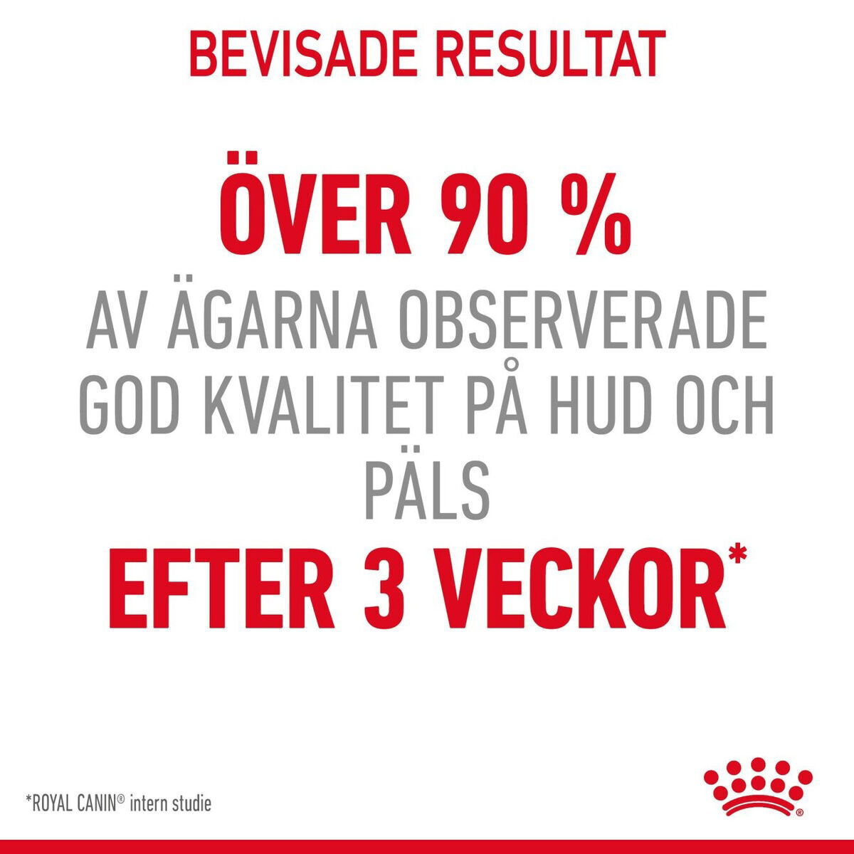 Royal Canin Hair & Skin Care Jelly Adult våtfoder för katt