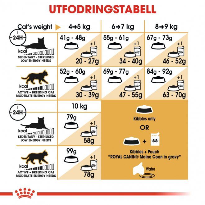 Royal Canin Maine Coon Adult torrfoder för katt