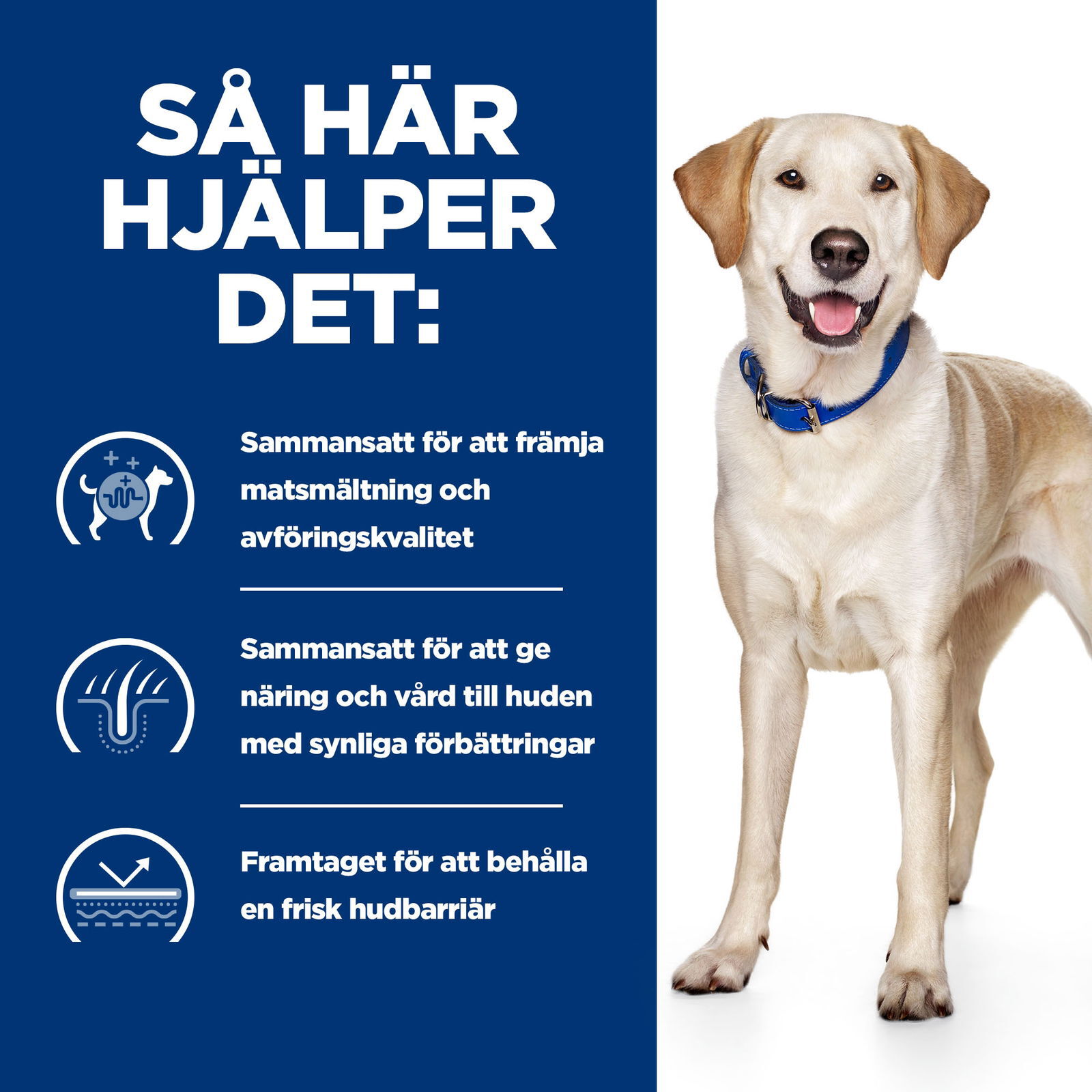 Hills Diet Dog d/d Duck & Rice