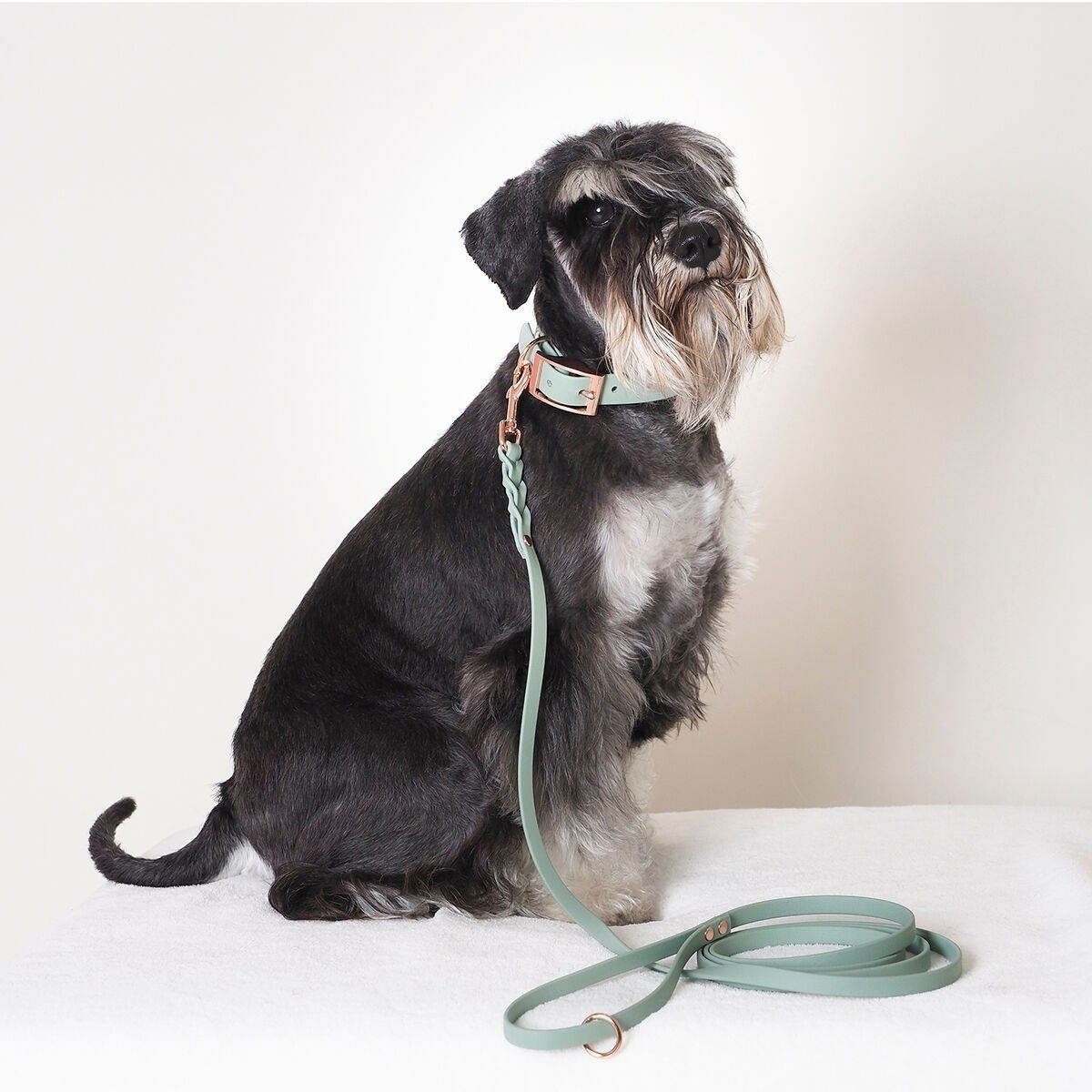 Tyylivoitto Classy collar narrow, sage/rosegold