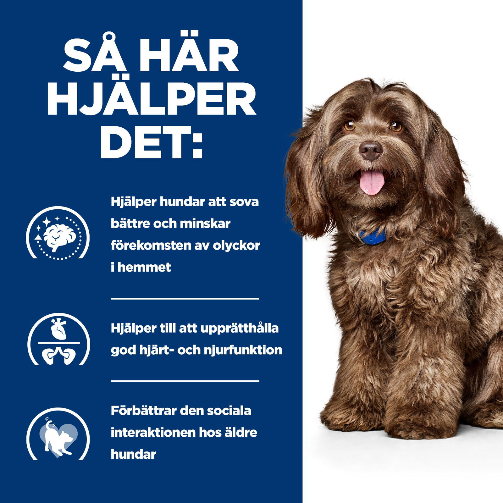 Hills Diet Dog b/d
