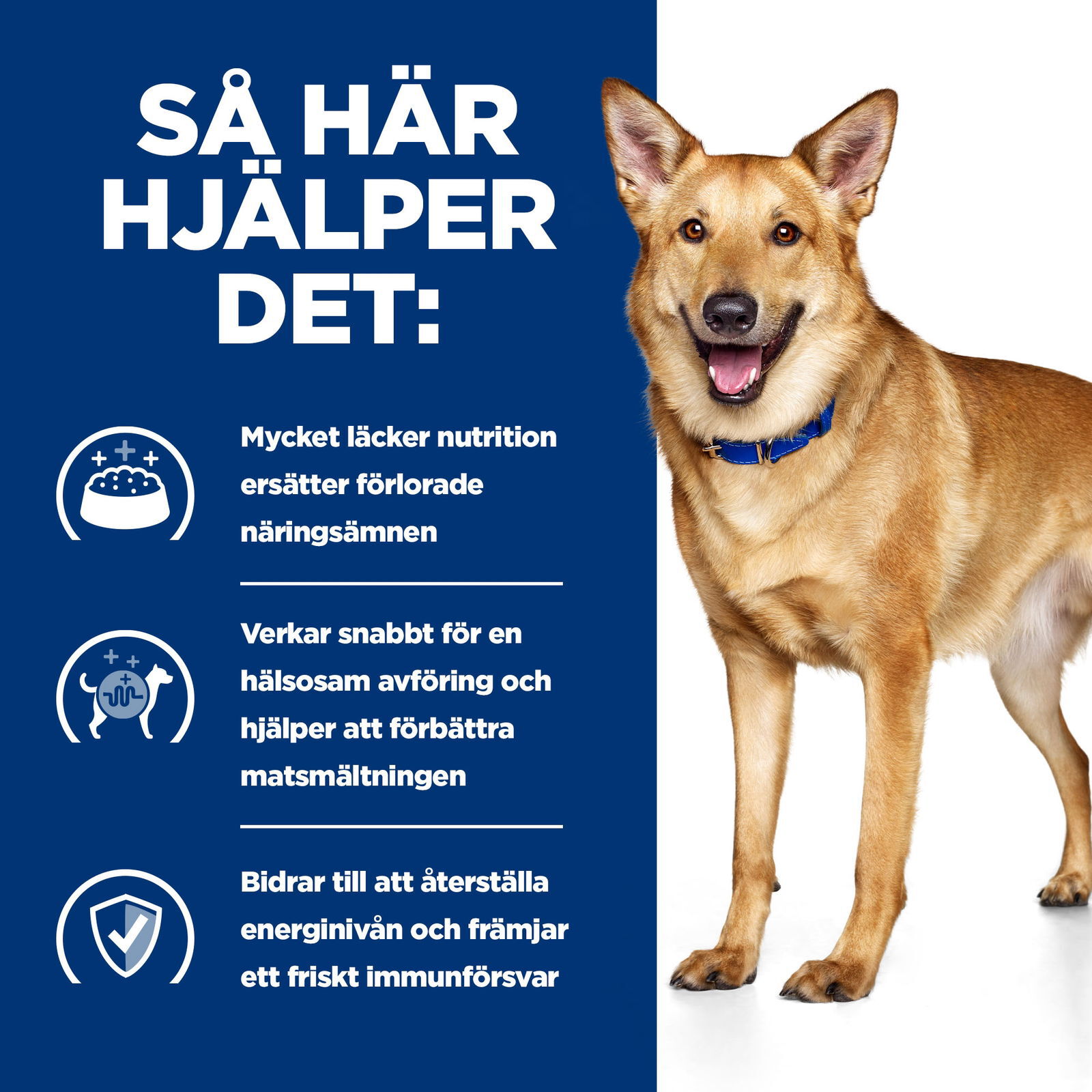 Hill's Diet Dog i/d Chicken