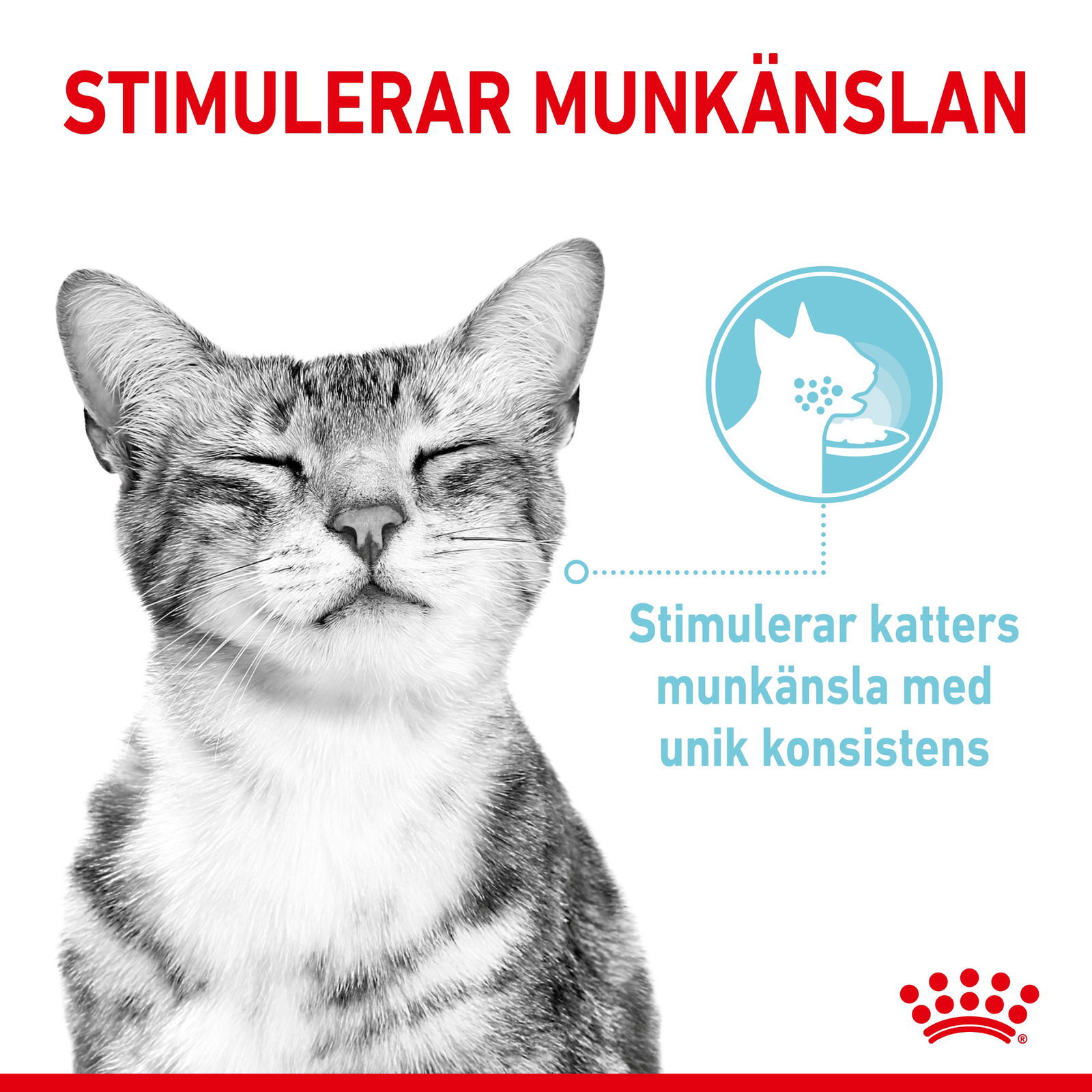 Royal Canin Sensory Feel Gravy Adult våtfoder för katt