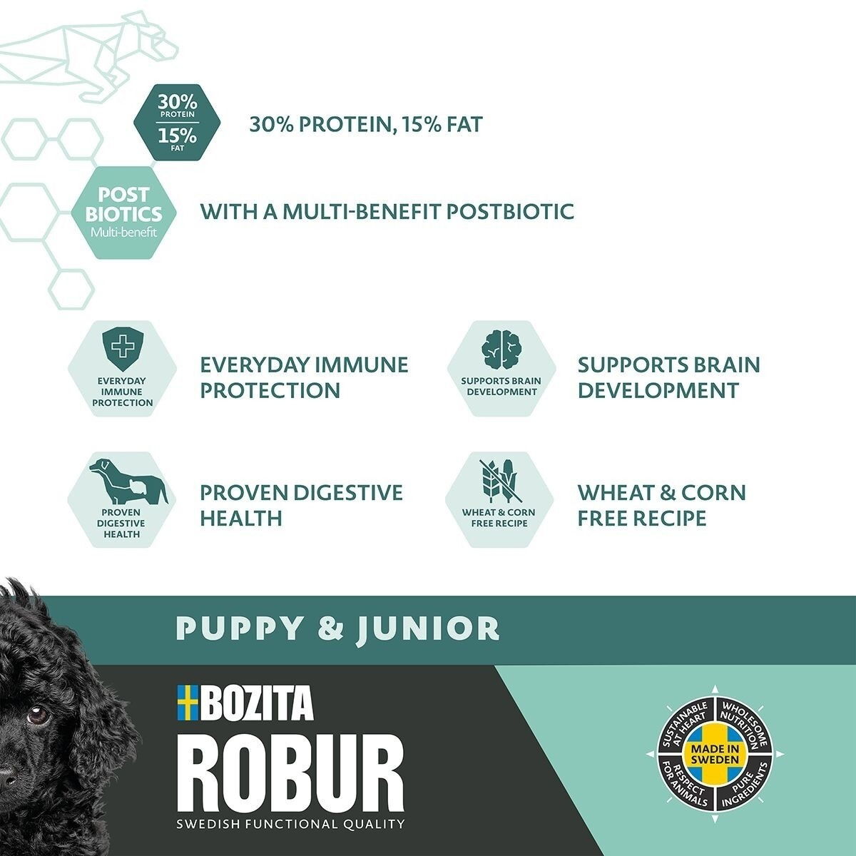 Robur Puppy & Junior