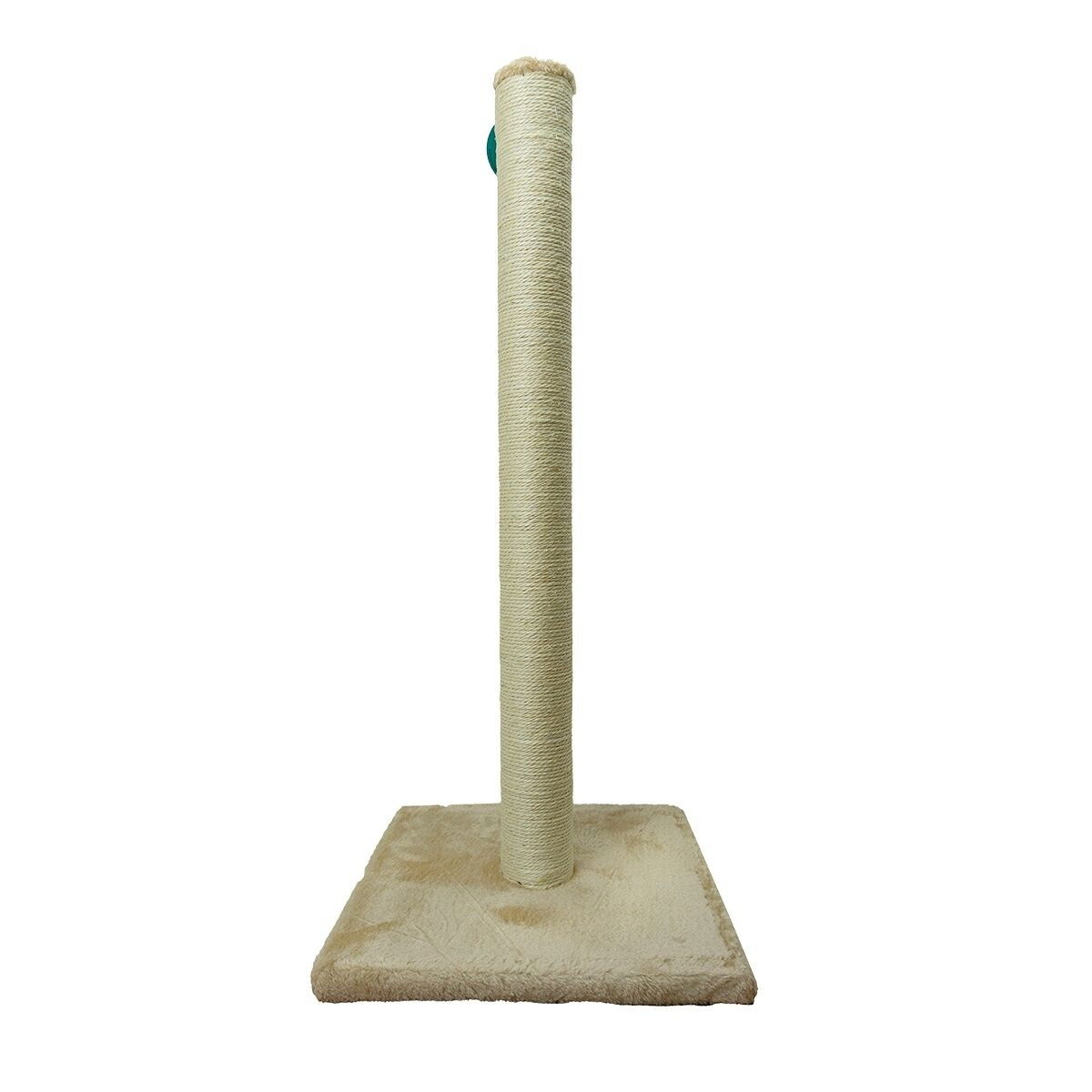 Klösträd Catti