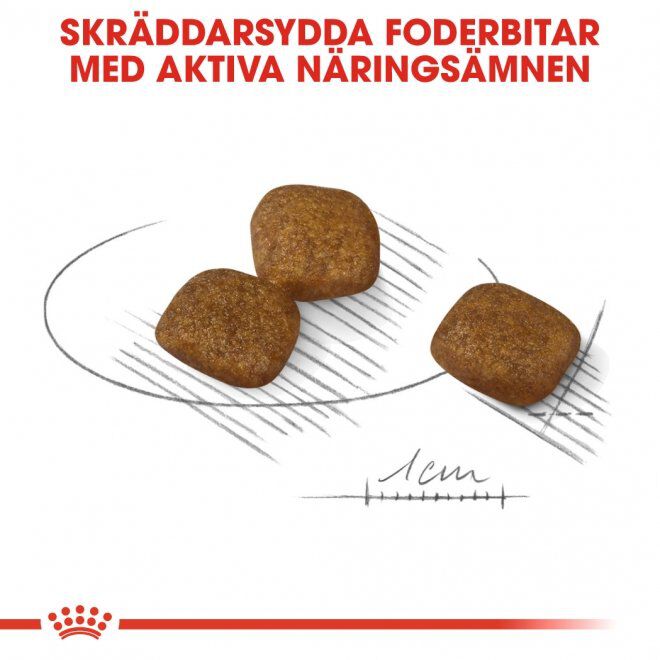 Royal Canin Coat Care Mini Adult torrfoder för hund