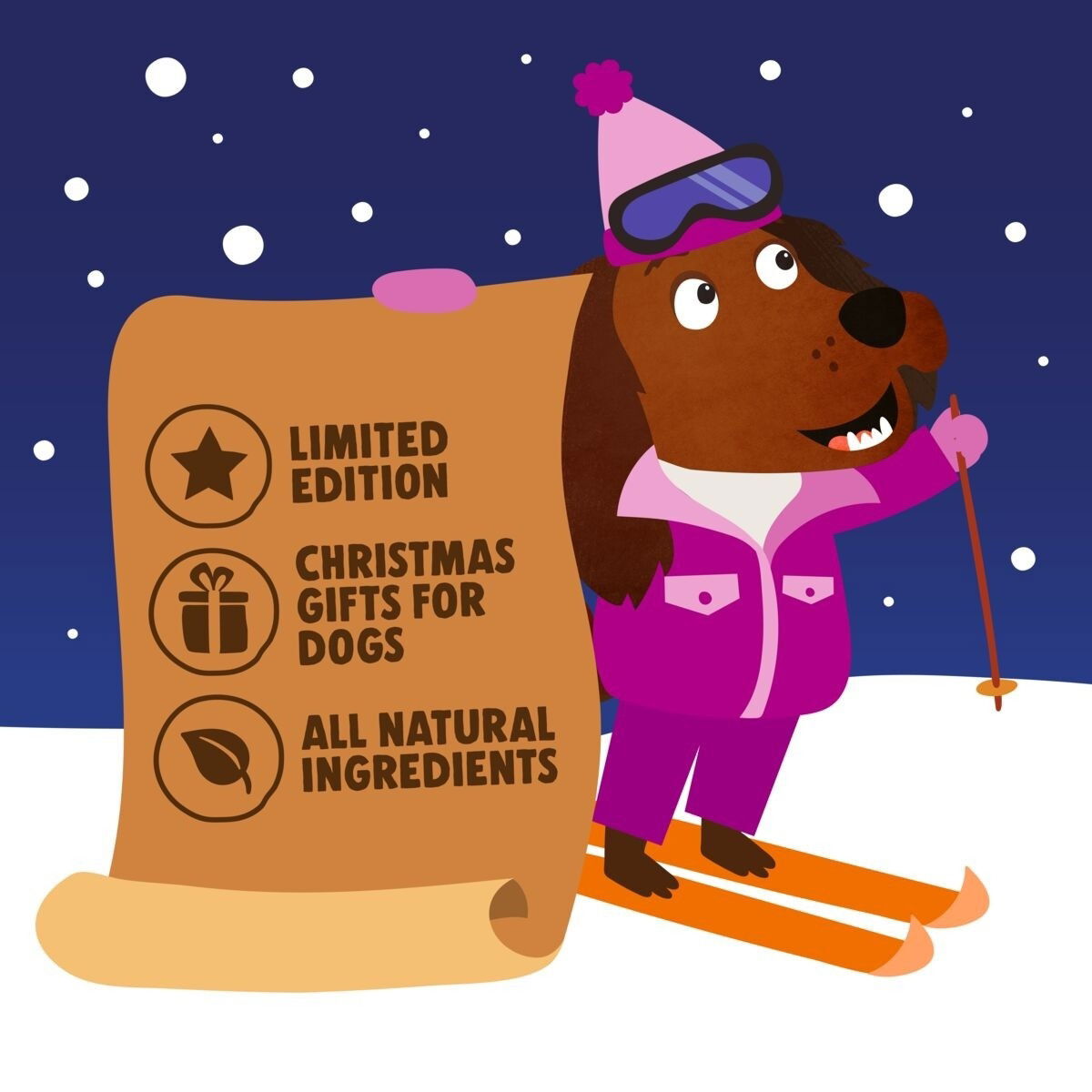 Denzel's Christmas Advent Calendar for dogs 192g