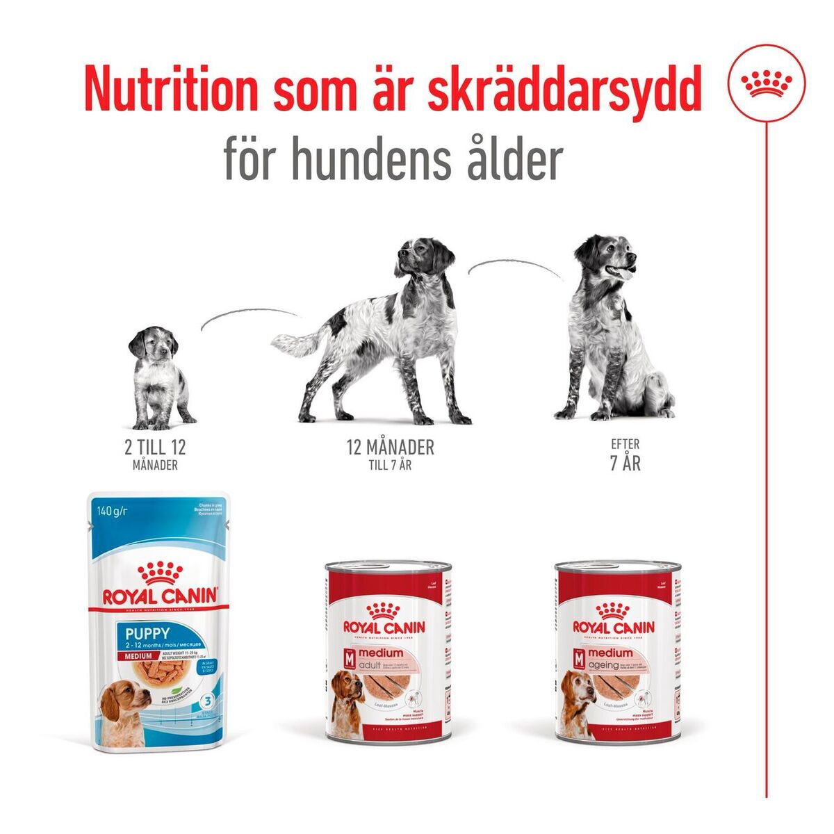 Royal Canin Medium Adult loaf can 410g