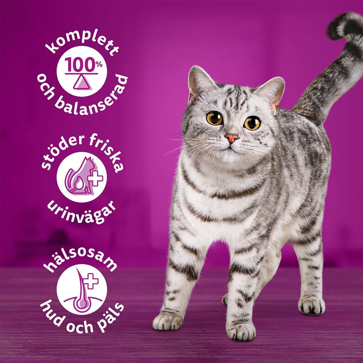 Whiskas chicken gravy 400g