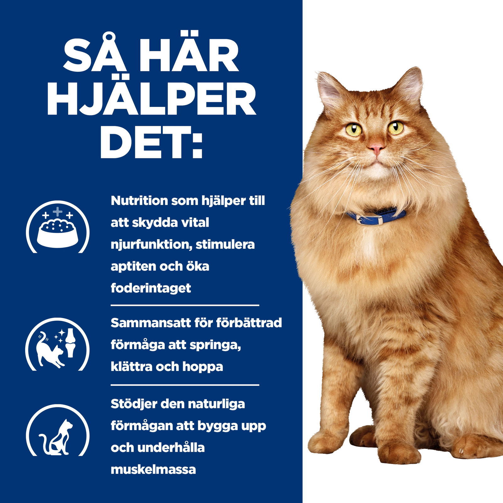 Hills Diet Cat k/d + Mobility Portionspåse 12x85g