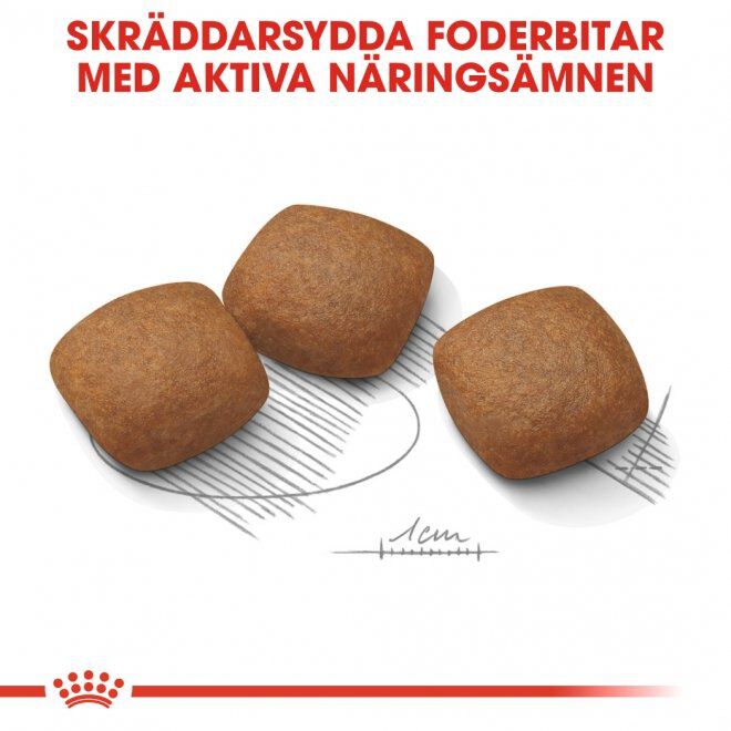Royal Canin Maxi Joint Care