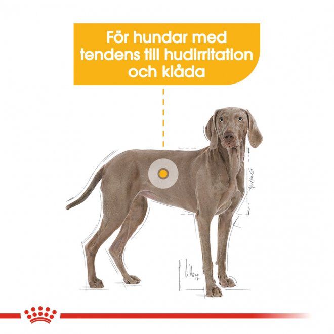 Royal Canin Maxi Dermacomfort