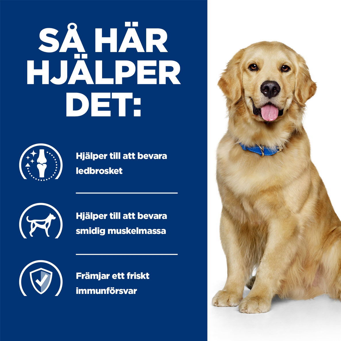 Hills Diet Dog j/d Reduced Calorie 4kg