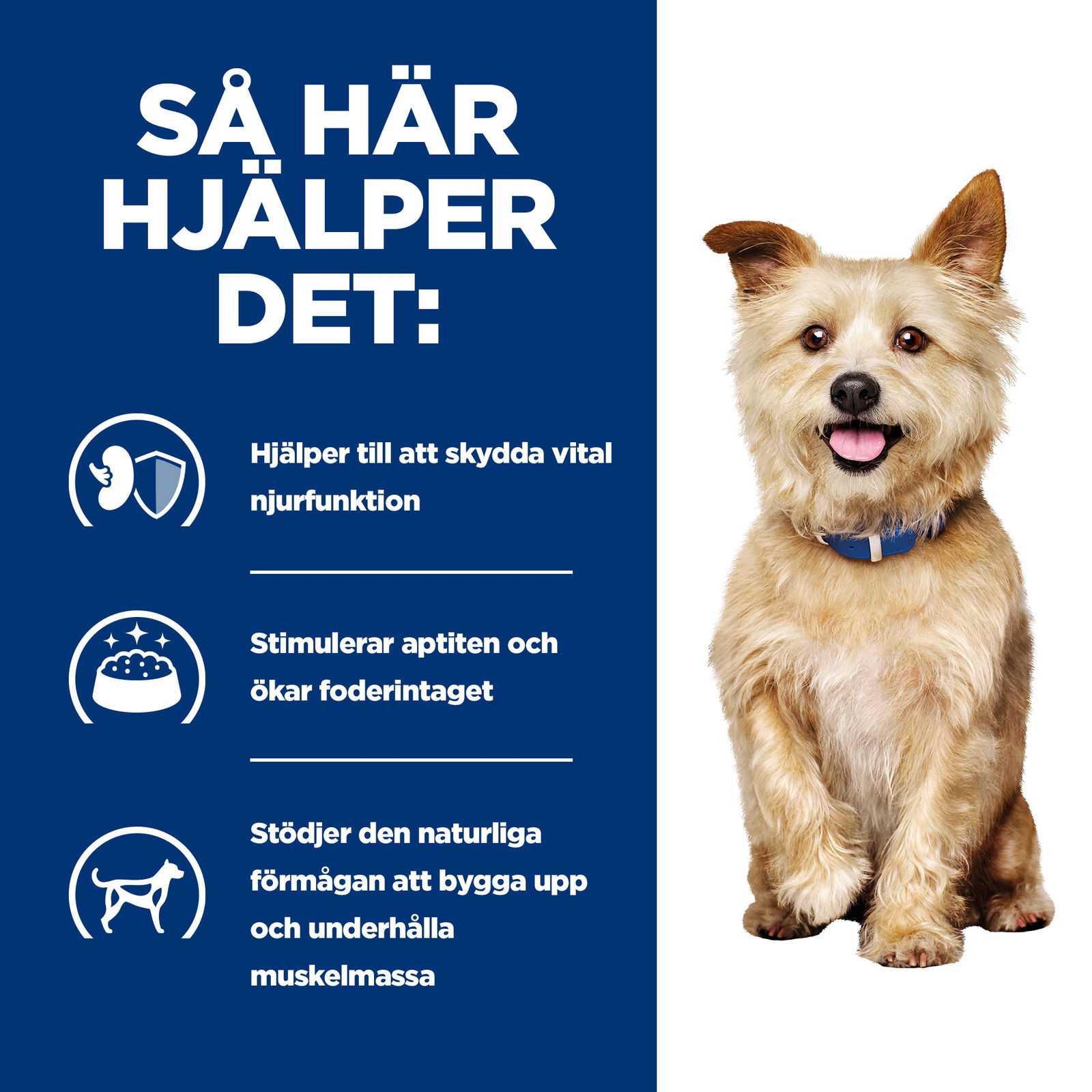 Hills Diet Dog k/d