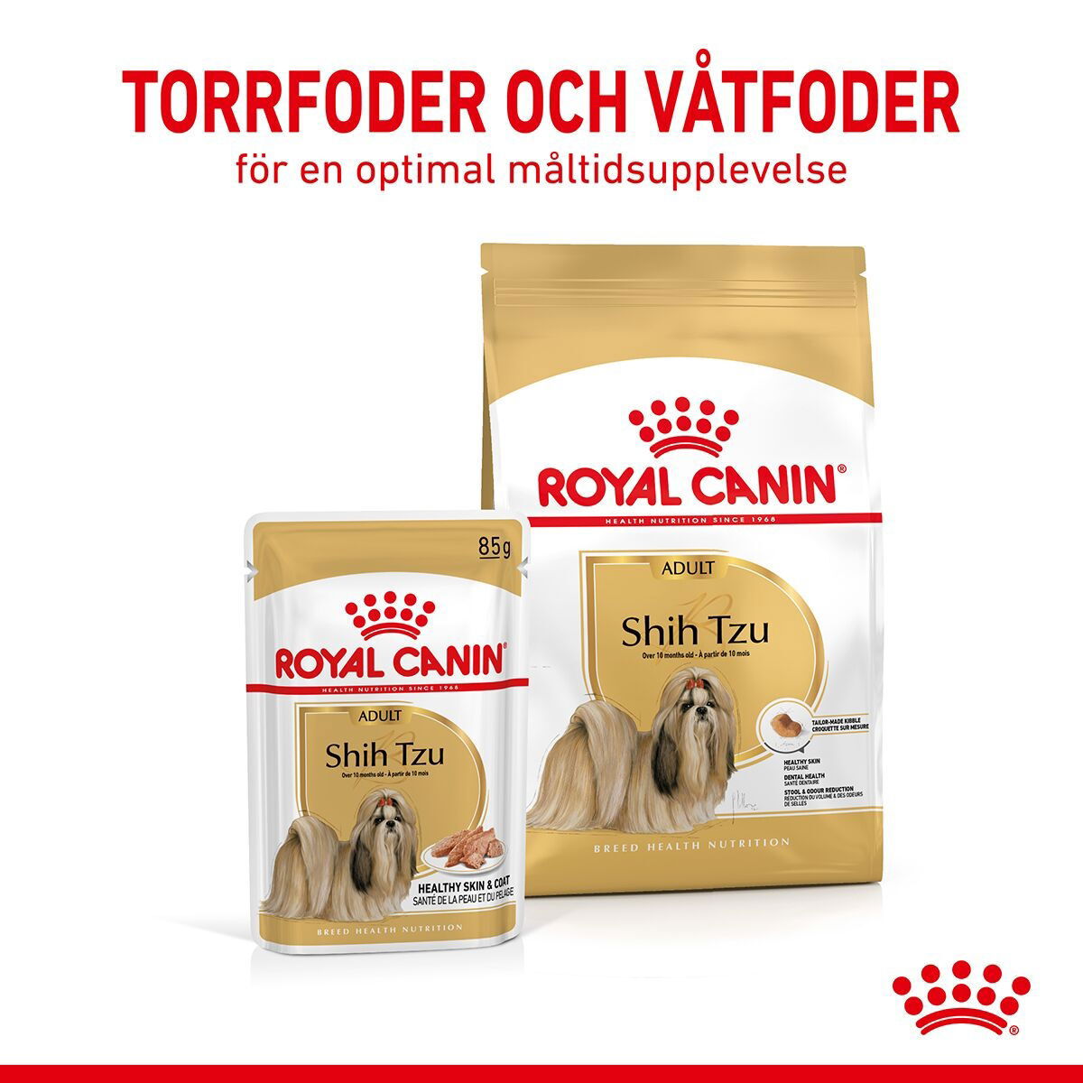 RC Breed Shih Tzu WET 12x85g