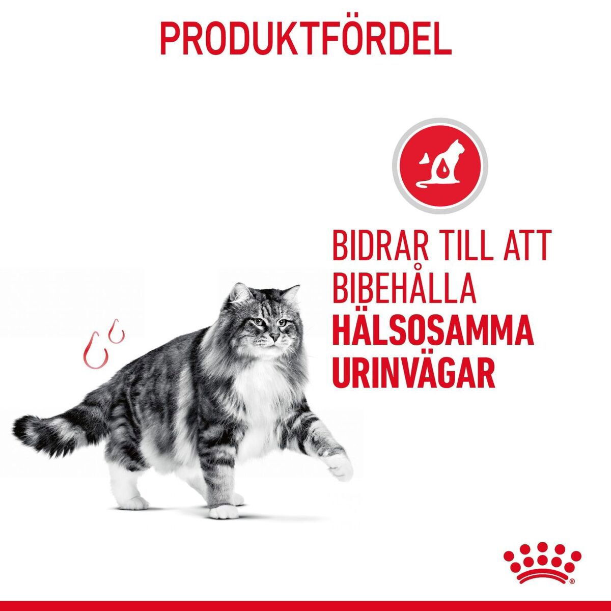 Royal Canin Urinary Care Adult torrfoder för katt