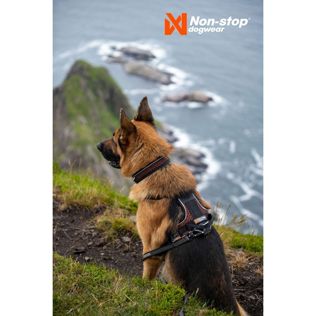 non-Stop Rock harness black/orange