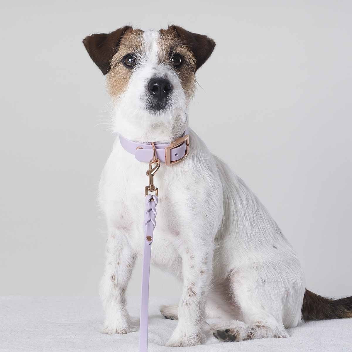 Tyylivoitto Braid leash, lavender