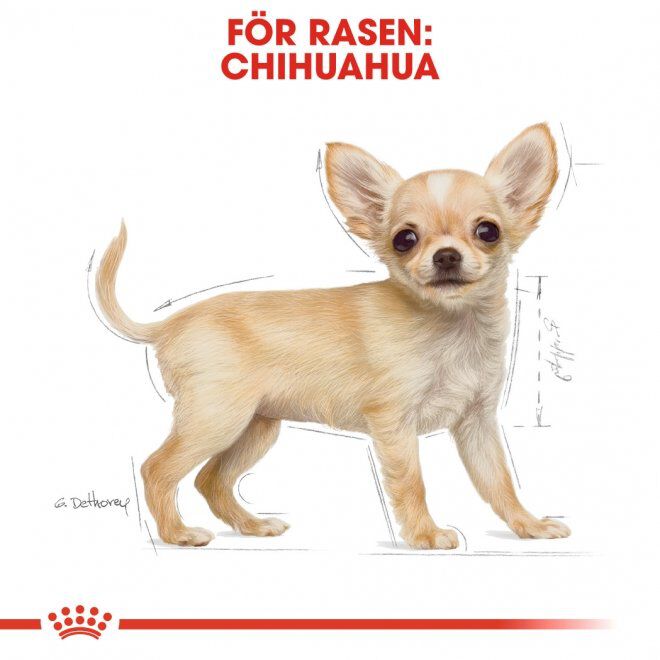Royal Canin Chihuahua Puppy torrfoder för hundvalp