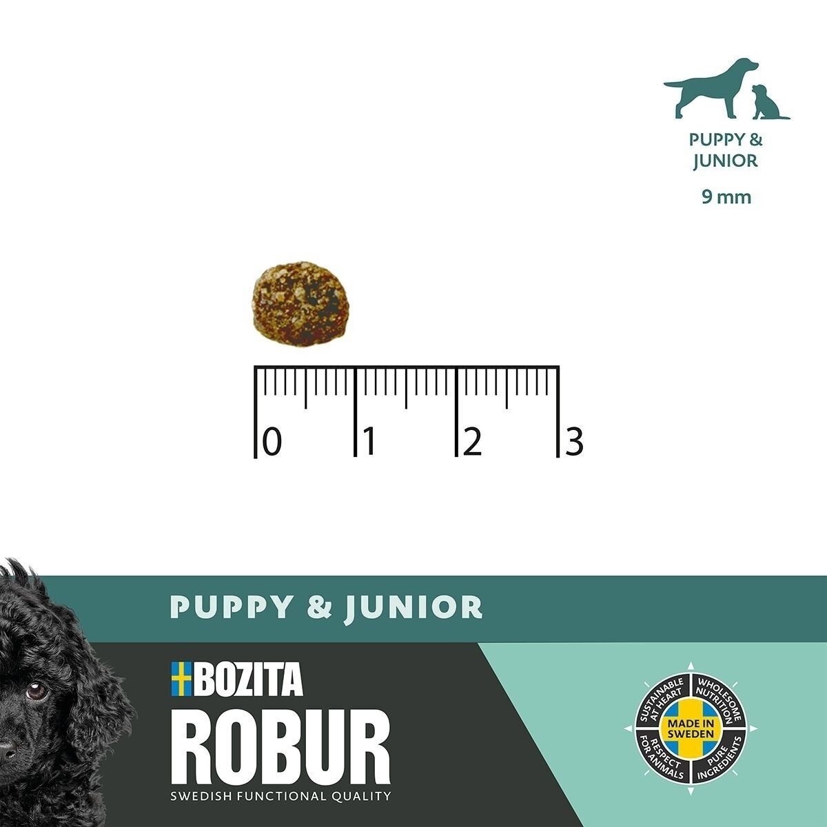 Robur Puppy & Junior