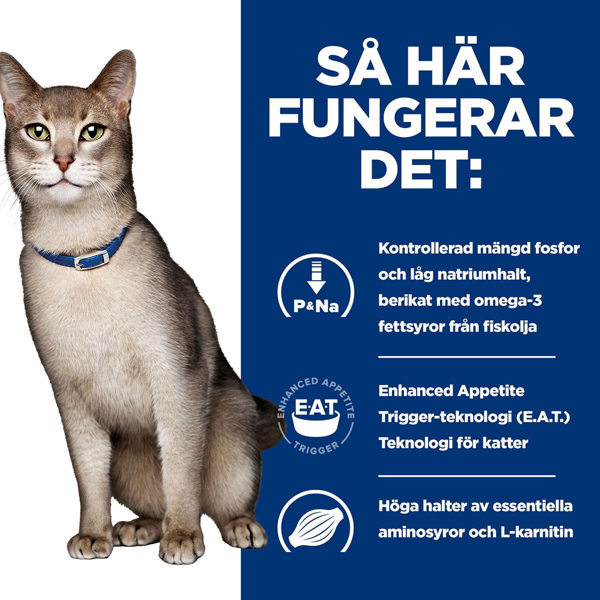 Hill's PD Feline k/d Chicken 156g