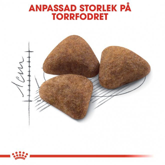 Royal Canin Indoor Adult torrfoder för katt