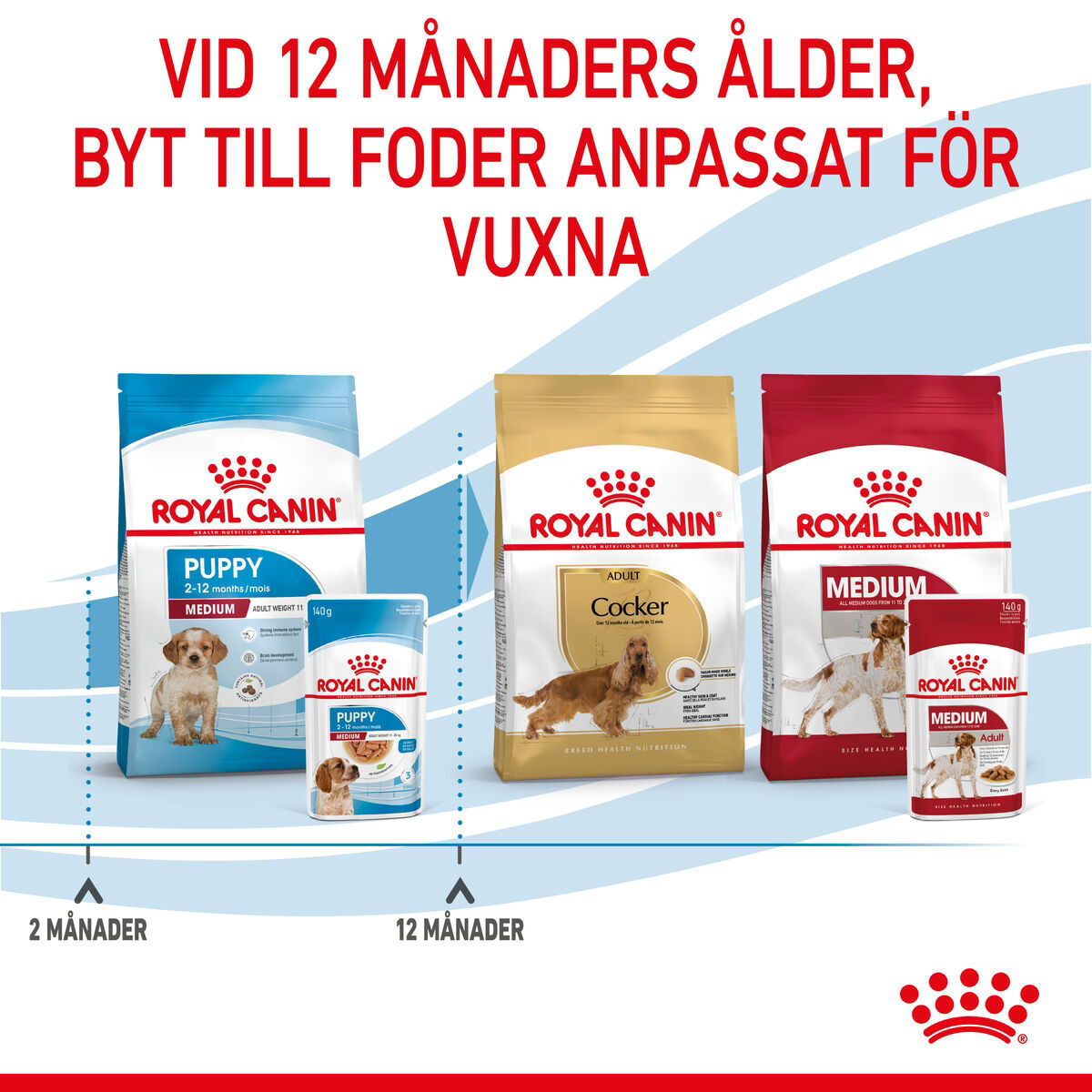 Royal Canin Medium Puppy Gravy våtfoder för hundvalp