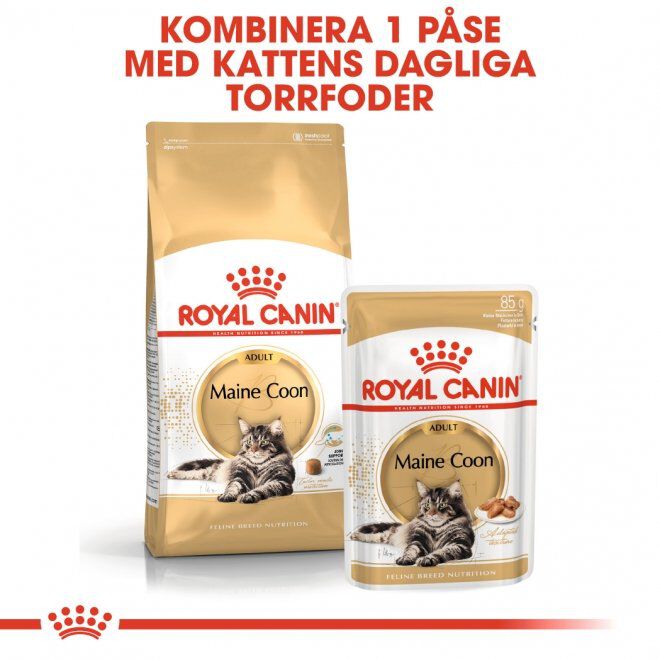 Royal Canin Maine Coon Adult torrfoder för katt