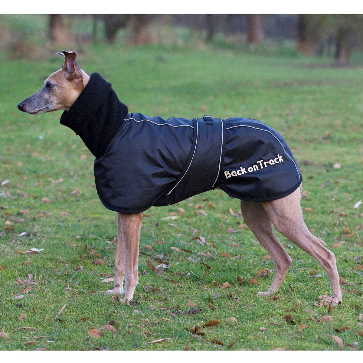 Back on Track Whippet Rug, Svart  