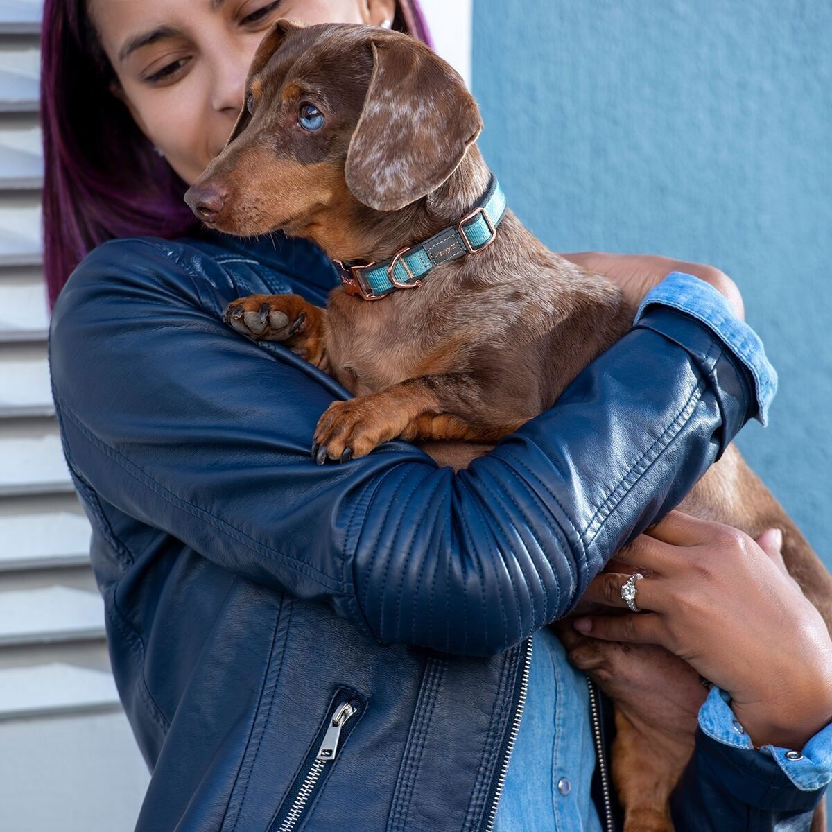 Rogz Urban collar, turquoise