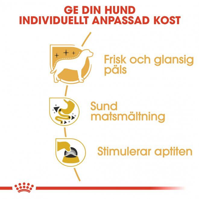 Royal Canin Chihuahua Adult Loaf våtfoder för hund
